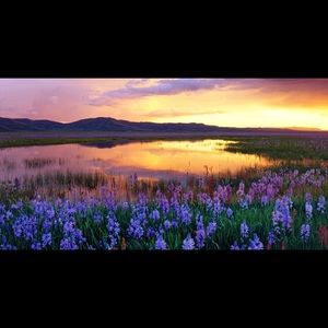 Meet your Posher, Savanah